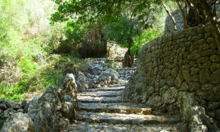 leistungstest mallorca coaching